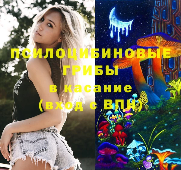 индика Наволоки